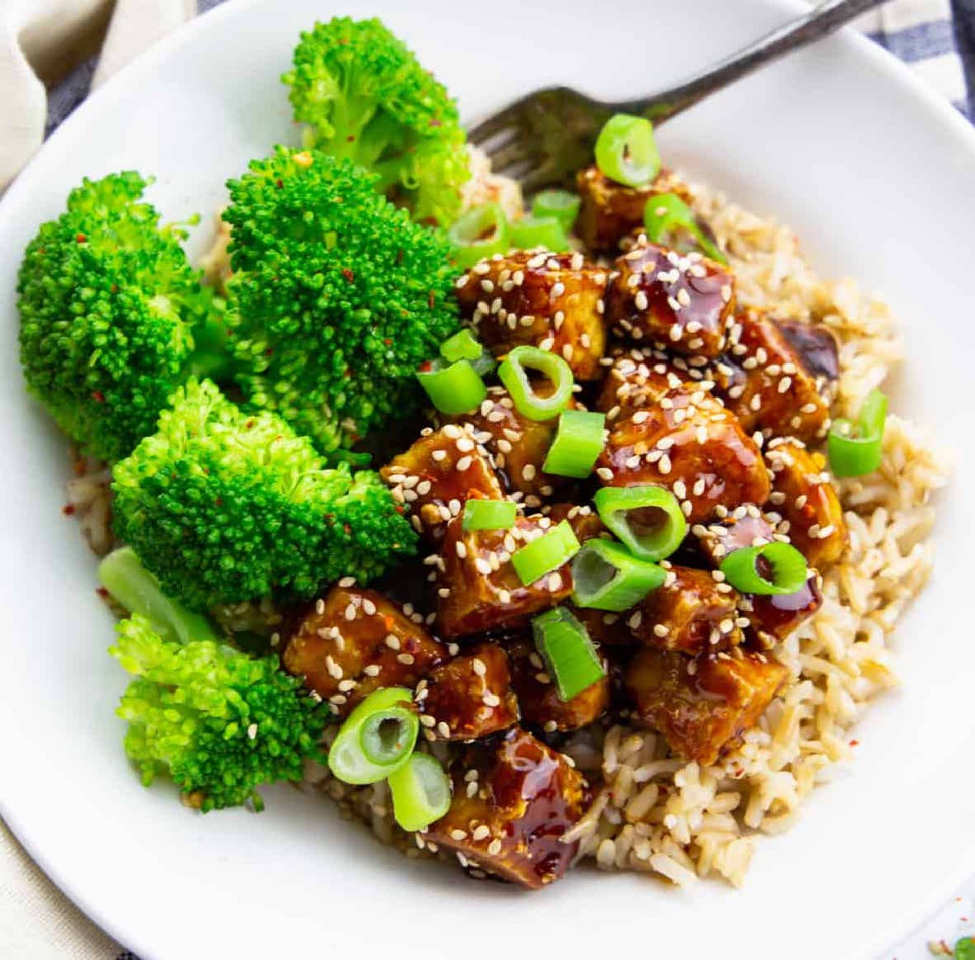 Vegan Teriyaki Beef and Tofu