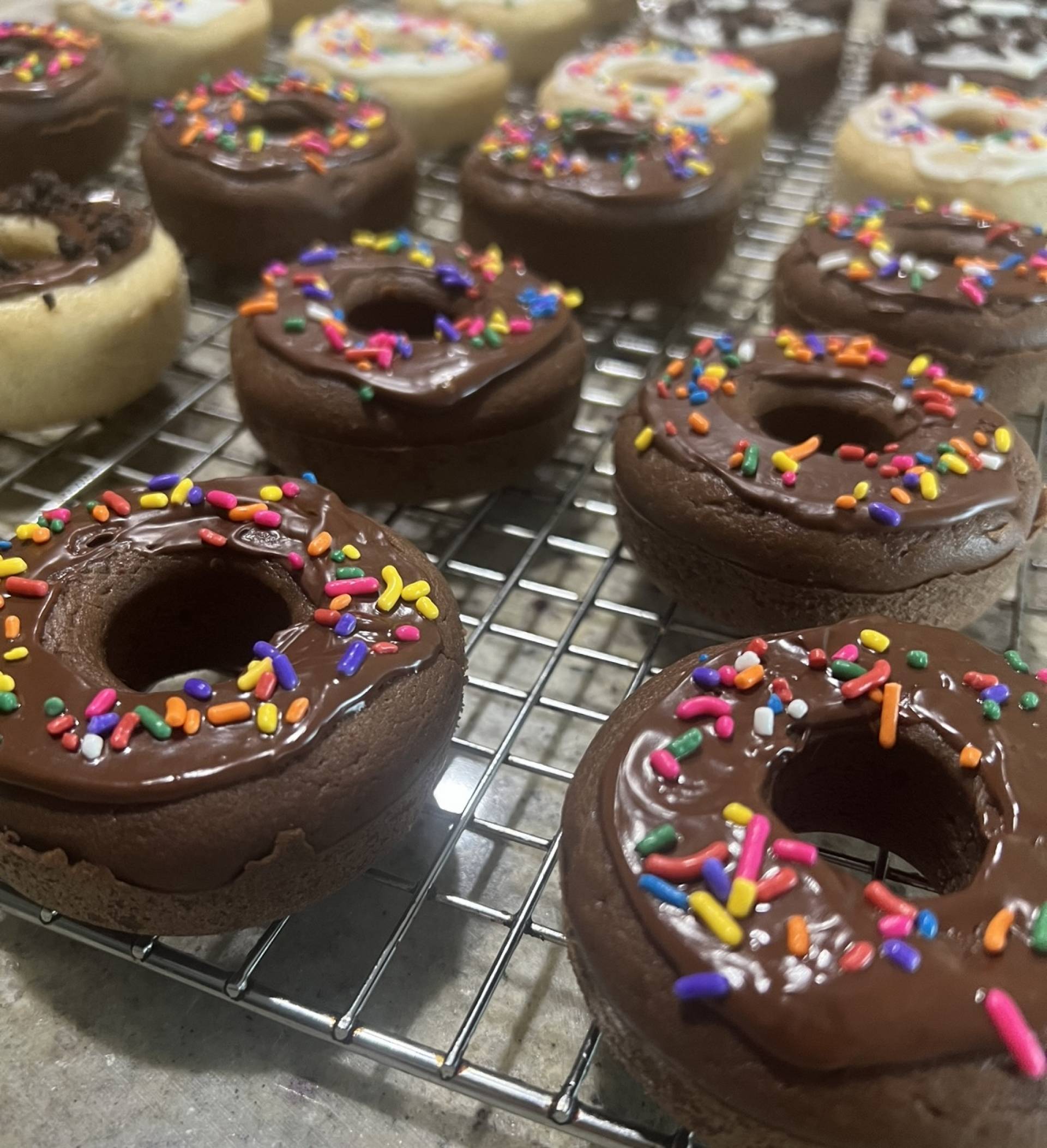 A.M. Protein Donuts (2 Pack)