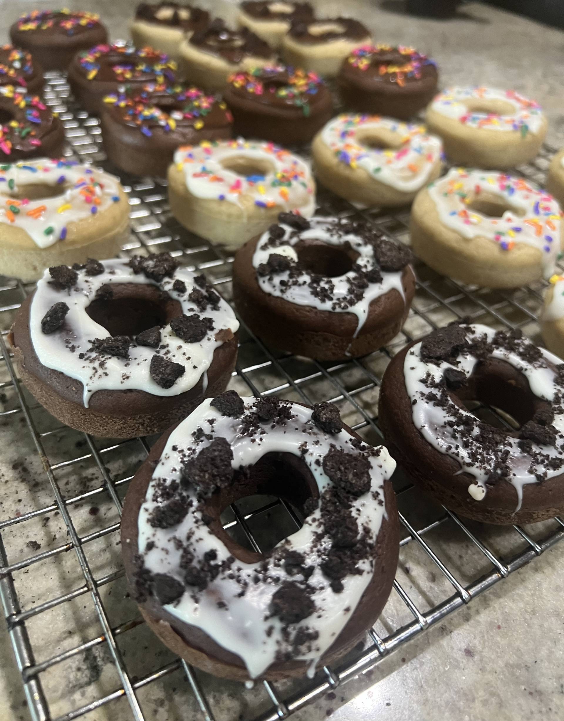A.M. Protein Donuts (6 Pack)