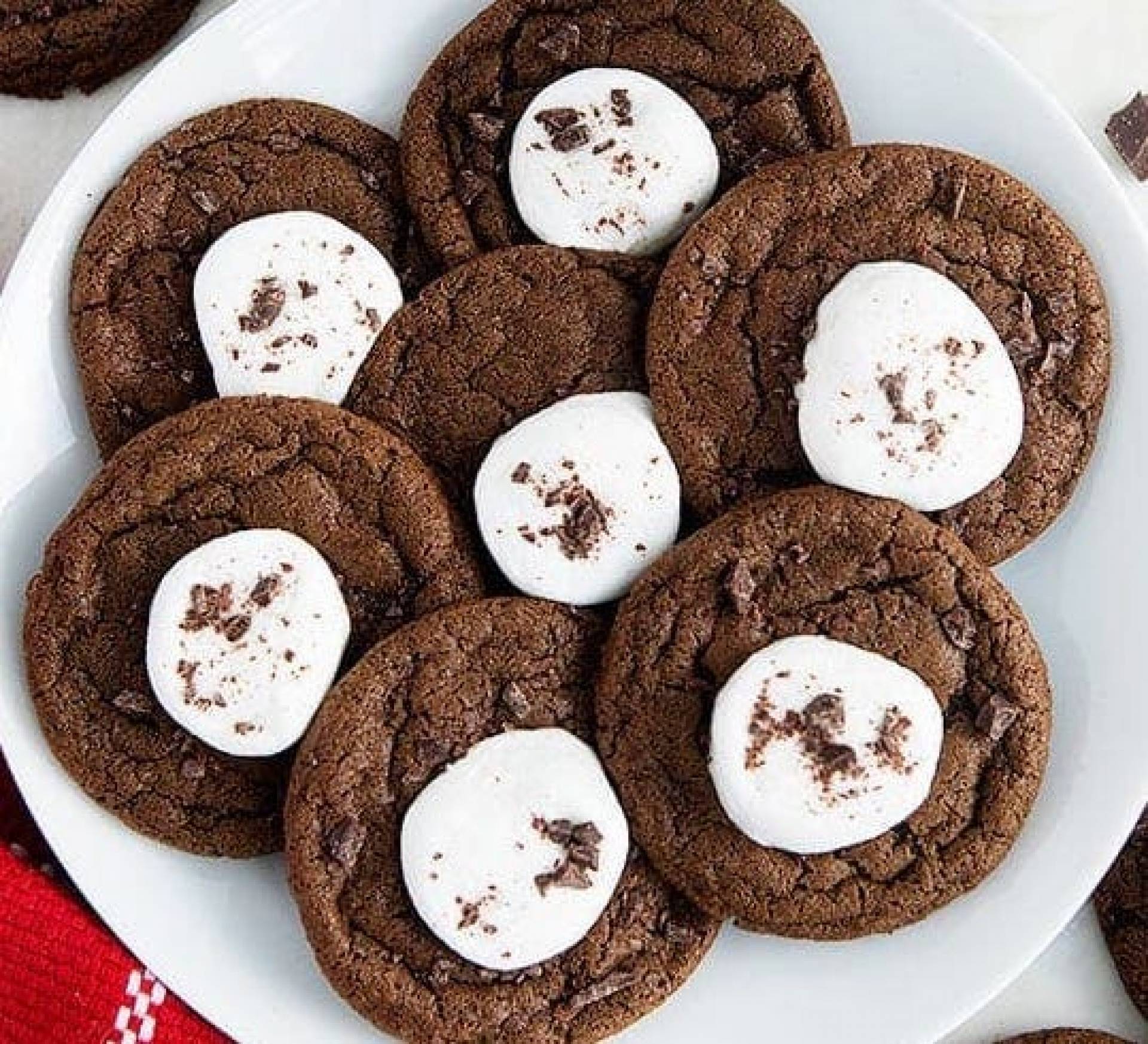 Hot Cocoa Protein Cookies